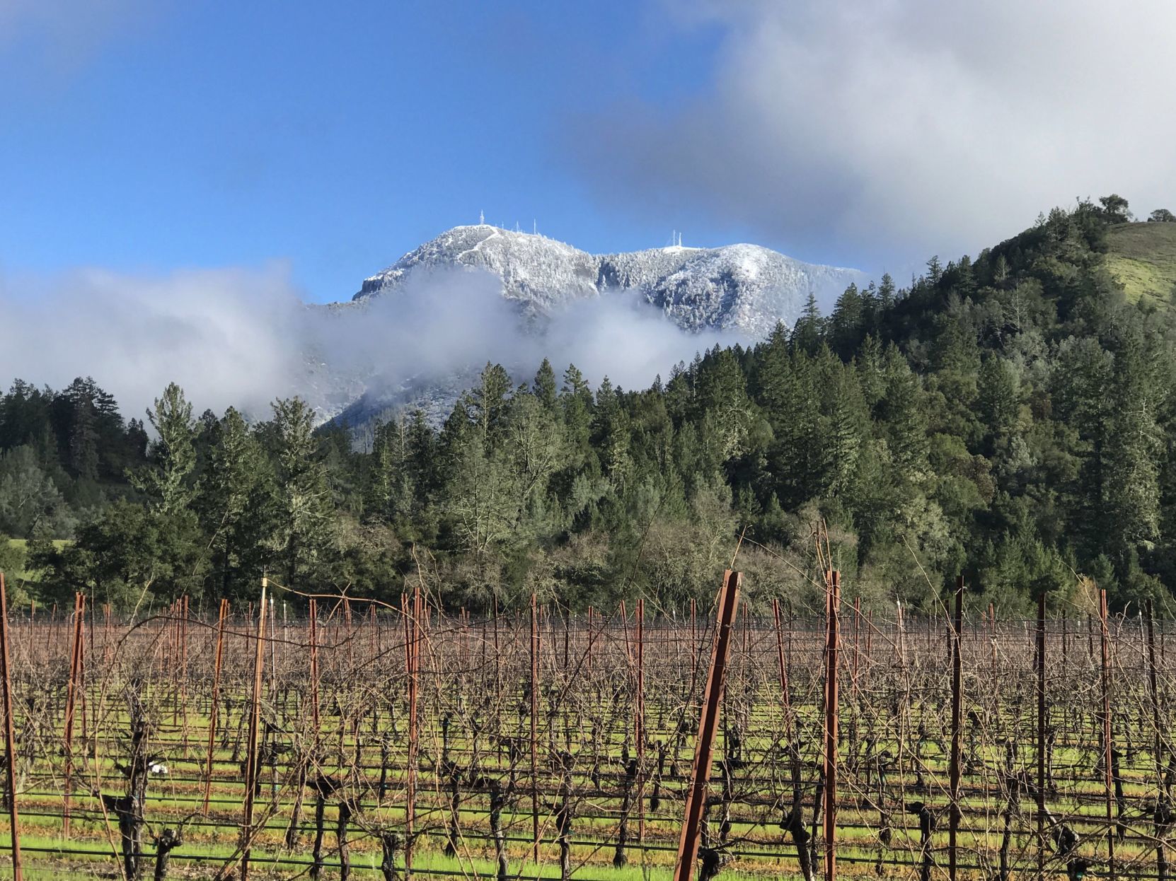 From Our Readers: Snow in Napa Valley